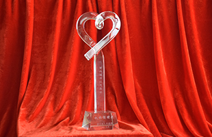 2019年浙江省慈善獎機構捐贈獎